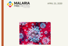 RAI2E implementation challenges at the community level in the context of COVID-19 epidemic in the GMS