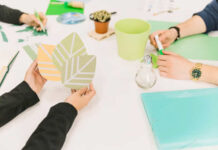 ALIGHT Environmental and Social Management Plan (ESMP)