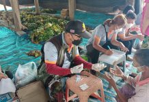 Mr. Singkhum, a new life with VBDU